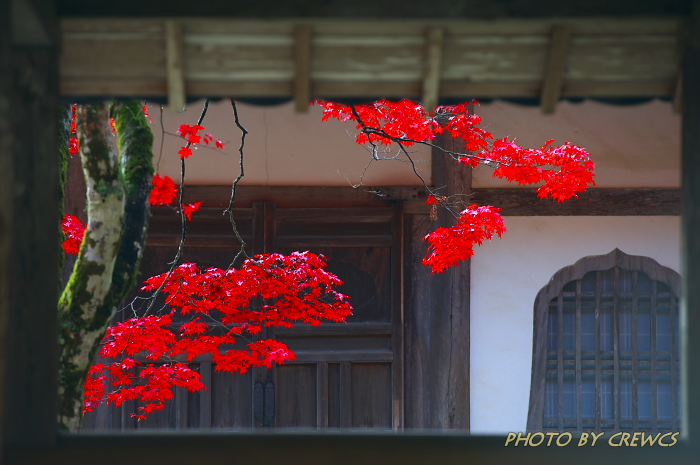 永源寺秋彩／永源寺境内_e0056449_21104515.jpg