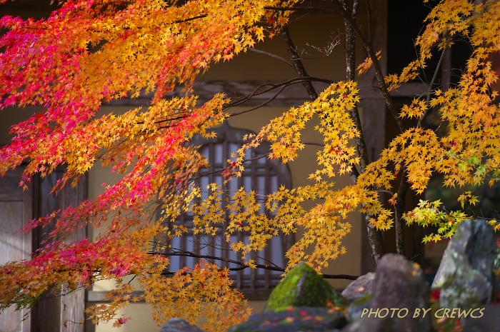 永源寺秋彩／永源寺境内_e0056449_21121223.jpg