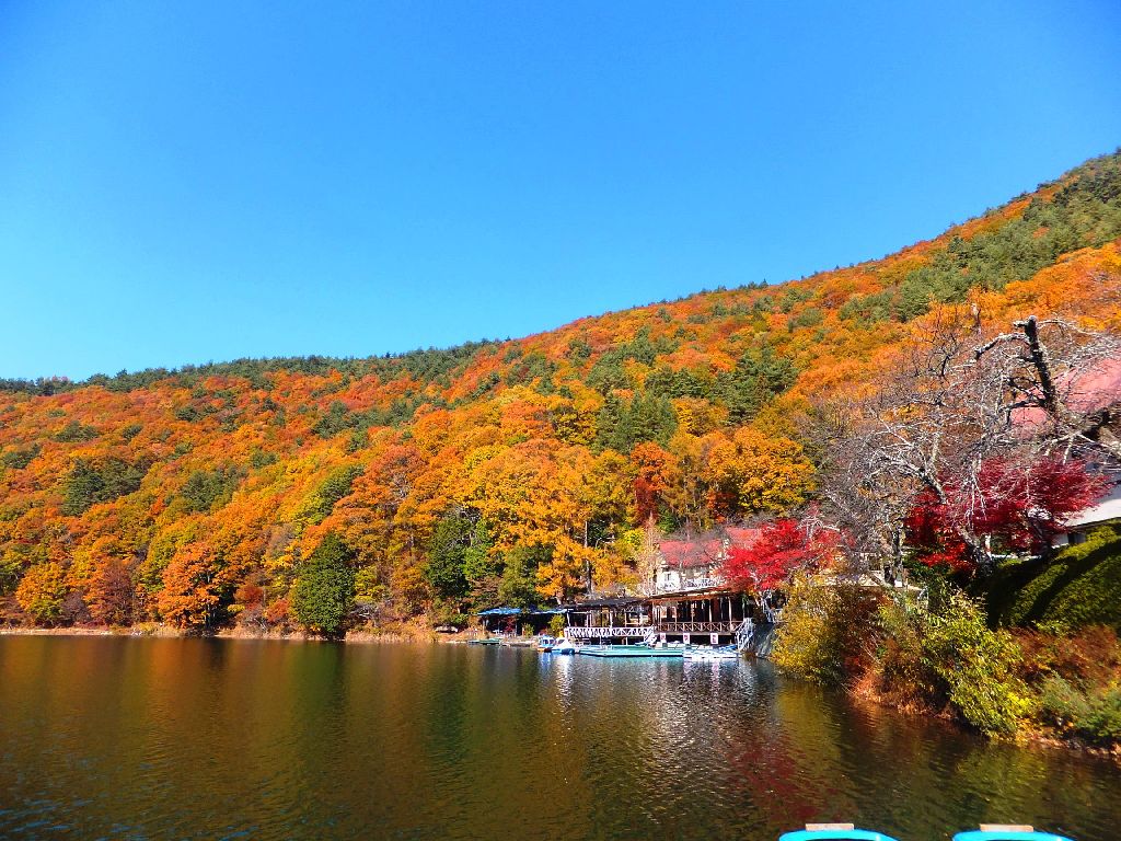 11 18 四尾連湖の紅葉を見に 行雲流水 のほほんほん 11 18 四尾連湖の紅葉を見に 行雲流水 のほほんほん