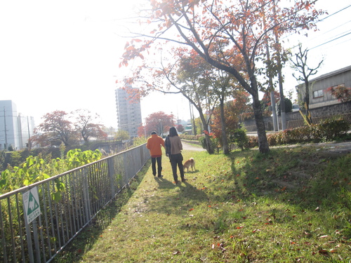 f0245650_9232550.jpg