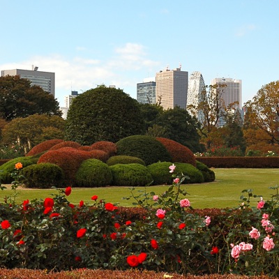 新宿御苑　フランス式整形庭園_d0105052_09212011.jpg