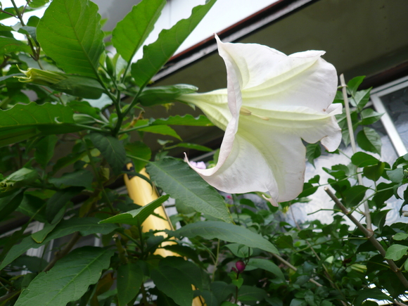 c0043055_17293929.jpg