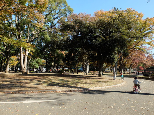 c0269855_16424725.jpg