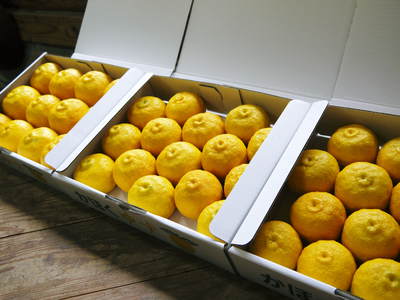 熊本の最旬「美味かもん」をご紹介 vol.10_a0254656_17143169.jpg