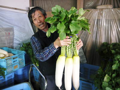 「長尾農園」 安全・安心・美しさにこだわった長尾ブランドの野菜たち_a0254656_18574622.jpg