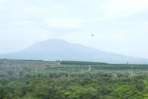 a0138757_10264969.jpg