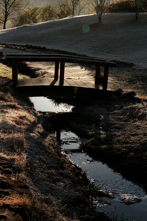 c0294658_2125335.jpg