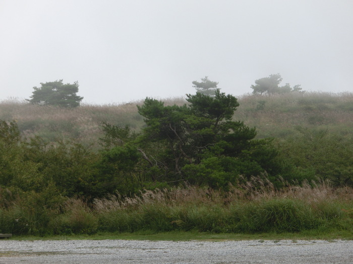 c0140260_2302034.jpg