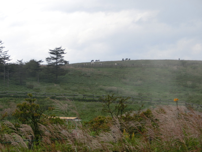 c0140260_2313688.jpg