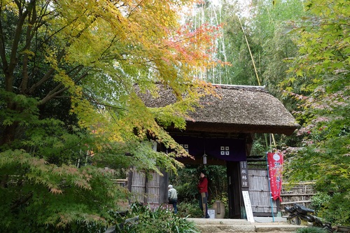 教林坊 太郎坊山 箕作山 山行隊 やまいきたいっ
