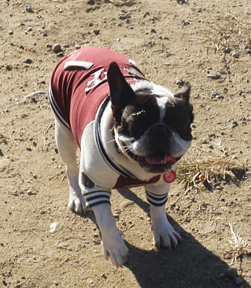 d0152869_19544326.gif