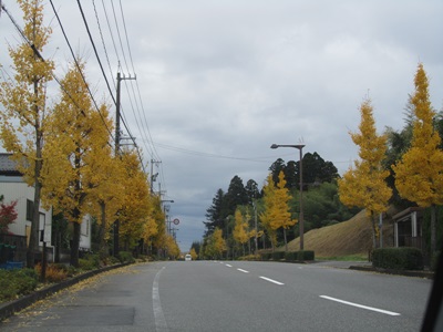 b0149071_17541646.jpg