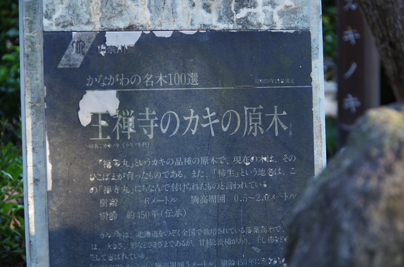 d0031171_8585325.jpg
