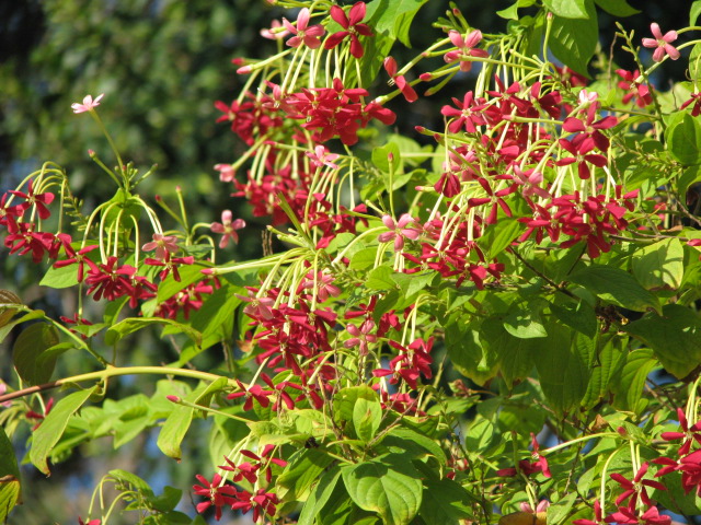b0161073_0354090.jpg