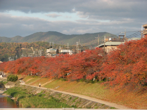 大原～八瀬～出町柳・大原口道標_f0259373_21011928.jpg