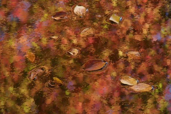 f0188274_21303097.jpg