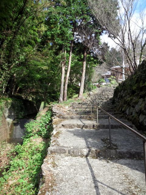 b0041576_1614411.jpg