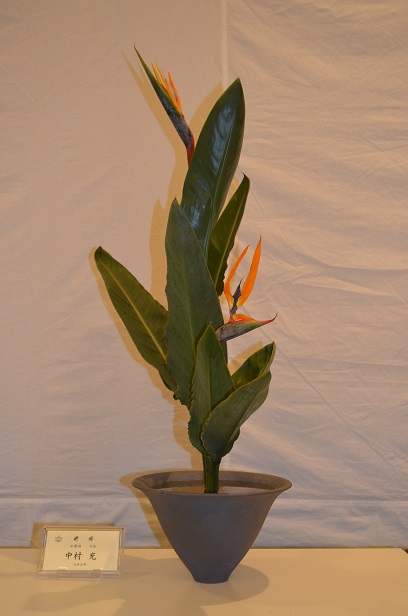 池坊 臼杵市部花展 _d0230676_9532589.jpg