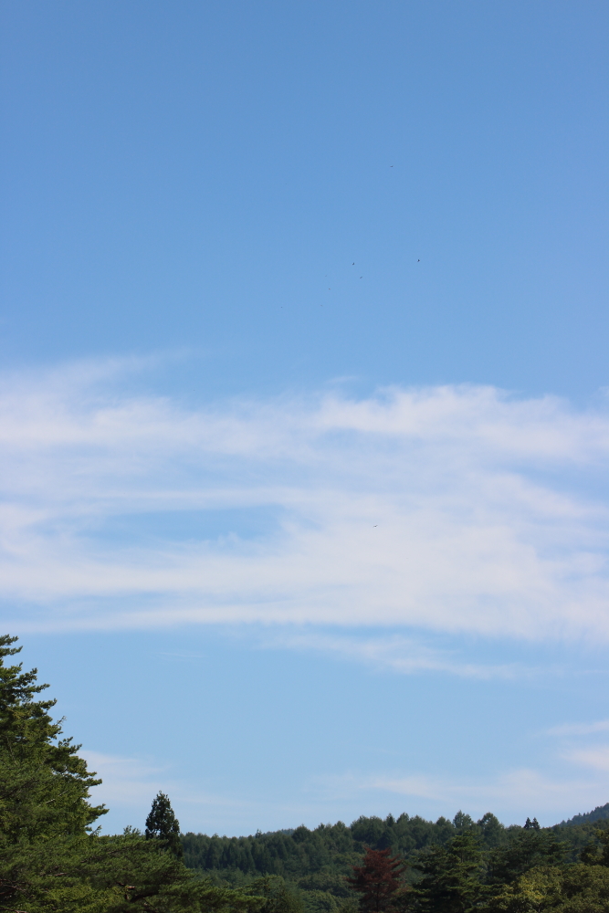 a0167480_13542485.jpg