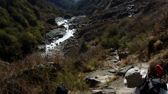 e0024081_08421570.jpg