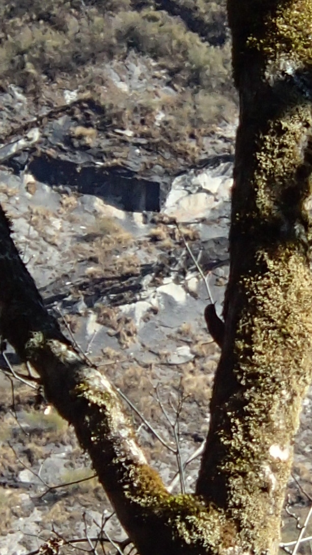 e0024081_08471900.jpg