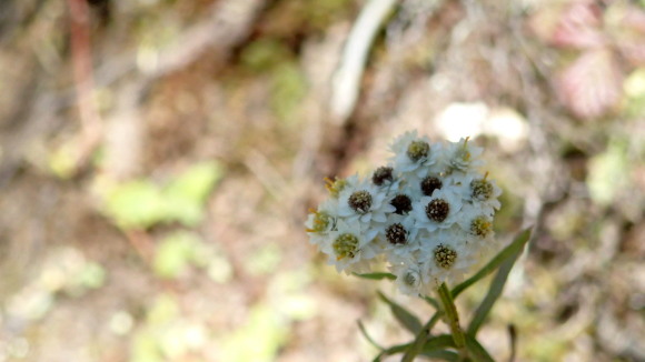 e0024081_09143488.jpg