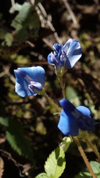 e0024081_09150216.jpg