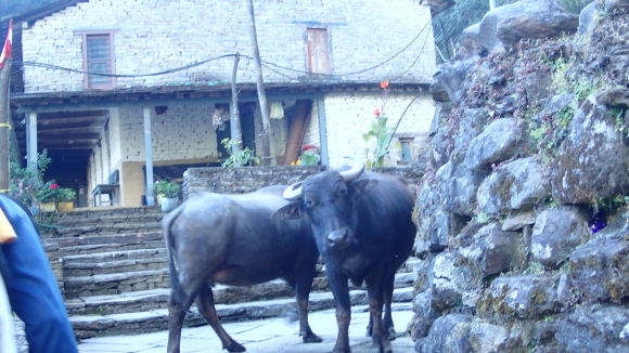 e0024081_09291286.jpg