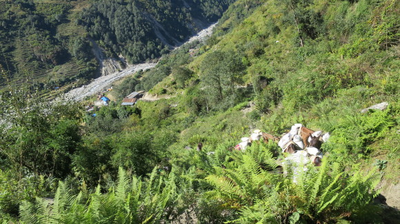 e0024081_10032337.jpg