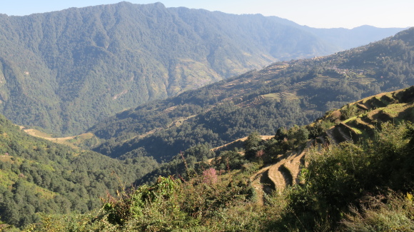 e0024081_10344706.jpg