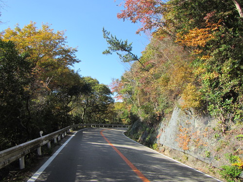 有馬紅葉ポタリング　瑞宝寺公園〜鼓ヶ滝公園_a0251786_22283041.jpg