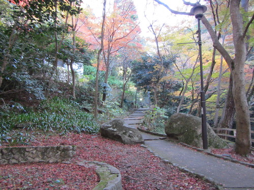 有馬紅葉ポタリング　瑞宝寺公園〜鼓ヶ滝公園_a0251786_22423577.jpg