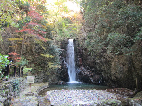 有馬紅葉ポタリング　瑞宝寺公園〜鼓ヶ滝公園_a0251786_2244723.jpg