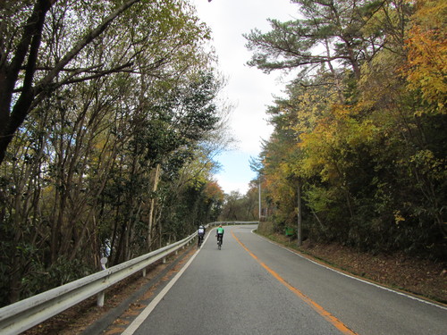 有馬紅葉ポタリング　瑞宝寺公園〜鼓ヶ滝公園_a0251786_23082.jpg