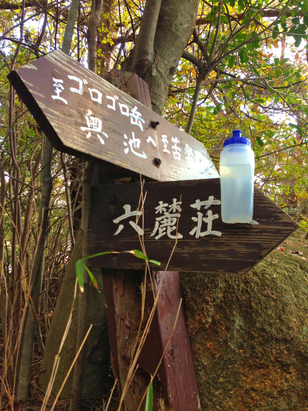 2013/11/23 Trail Running in ゴロゴロ岳_b0220886_19143741.jpg