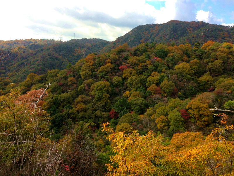 2013/11/23 Trail Running in ゴロゴロ岳_b0220886_19232240.jpg