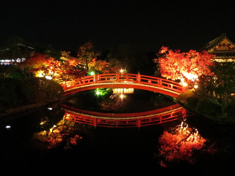c0025187_23173573.jpg
