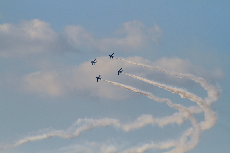 e0123889_1916026.jpg