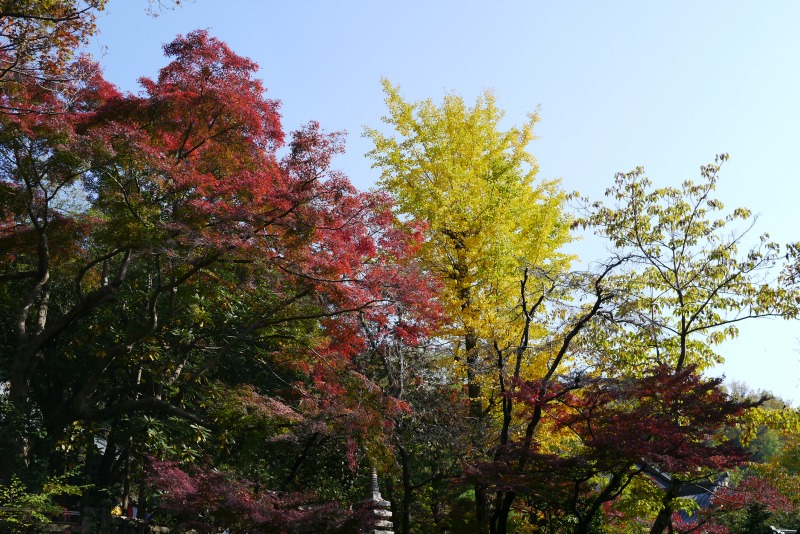 a0127090_2114094.jpg