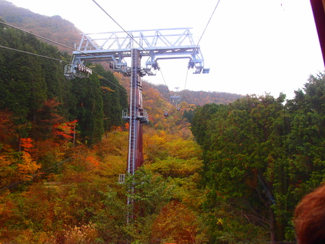 c0109090_1731592.jpg