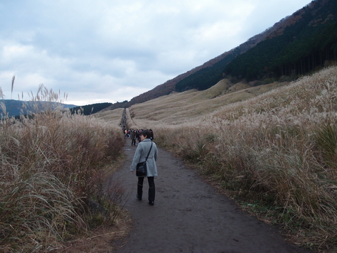 c0109090_1733884.jpg