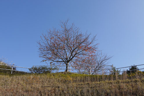 f0222692_12585749.jpg