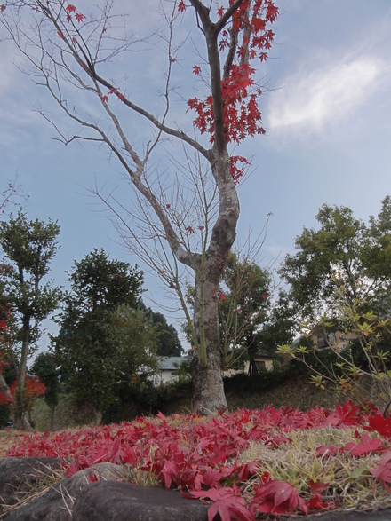 f0209394_002355.jpg