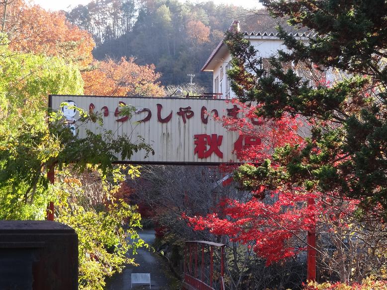 磊々峡の名残りの紅葉_f0075595_23123029.jpg