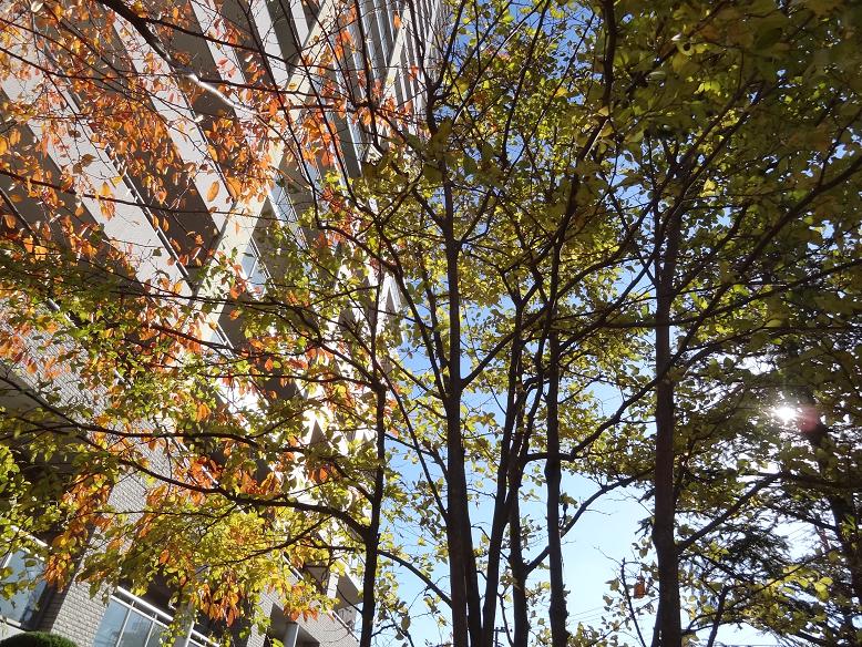 f0075595_2332426.jpg