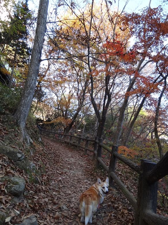 磊々峡の名残りの紅葉_f0075595_2344629.jpg