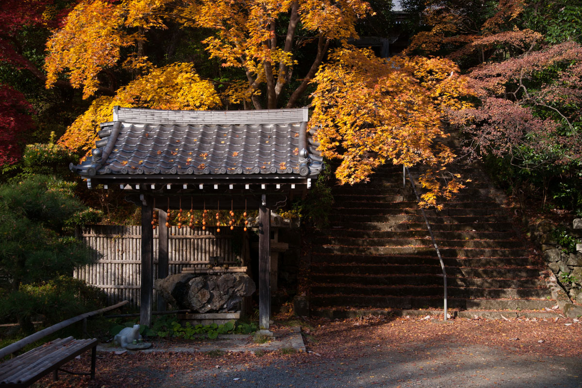 京都府京都市 金蔵寺 紅葉 2013.11.23_b0247097_2149387.jpg