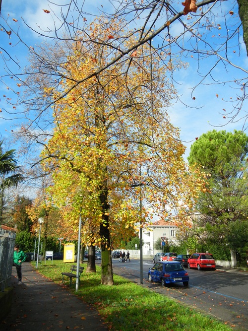 f0229097_5302576.jpg