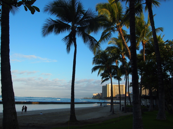 ＊２０１３Ｈａｗａｉｉ　６日目①　～最終日のプチ朝散歩とハワイの働く車たち♪～_f0285497_15194625.jpg