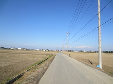a0117599_19462511.jpg